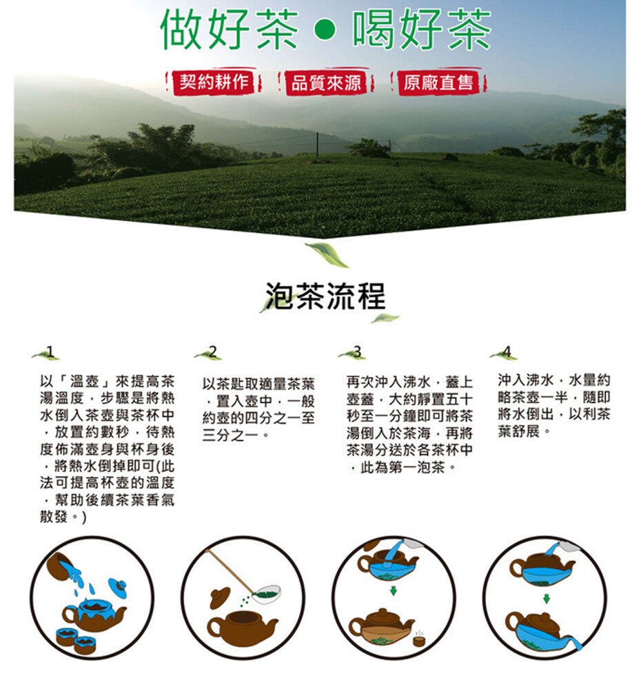 TRADITION Original Tea Bag Series 100 Tea Bags x 0.1 oz (2 g) Fresh Green Tea T世家 經典鮮綠茶包 2g x 100包 200g / 盒 - Buy Taiwan Online