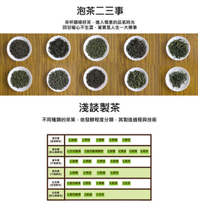 TRADITION Original Tea Bag Series 100 Tea Bags x 0.1 oz (2 g) Fresh Green Tea T世家 經典鮮綠茶包 2g x 100包 200g / 盒 - Buy Taiwan Online